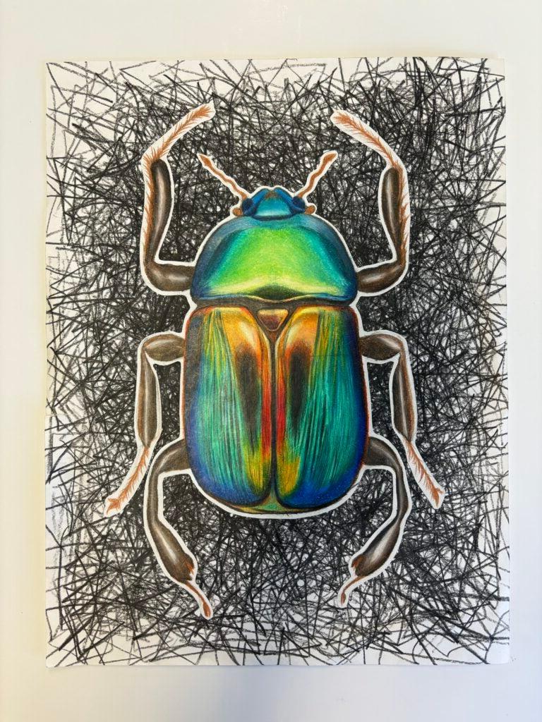 Ruby KenKnight, 12th Grade, "Beetle"